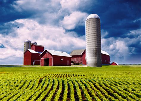 The Farm .
